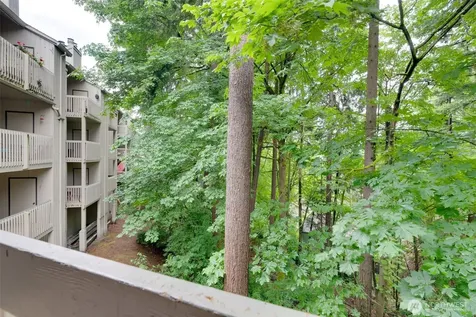 10819 NE 37th Place Bellevue WA 98004