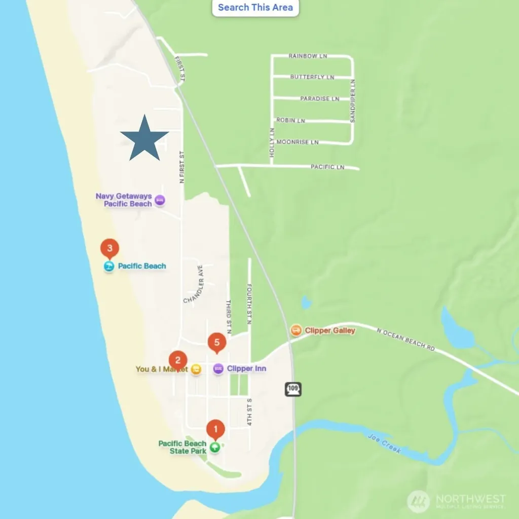 36 Duke Lane Pacific Beach WA 98571
