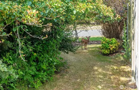 697 Olympic View Drive Coupeville WA 98239