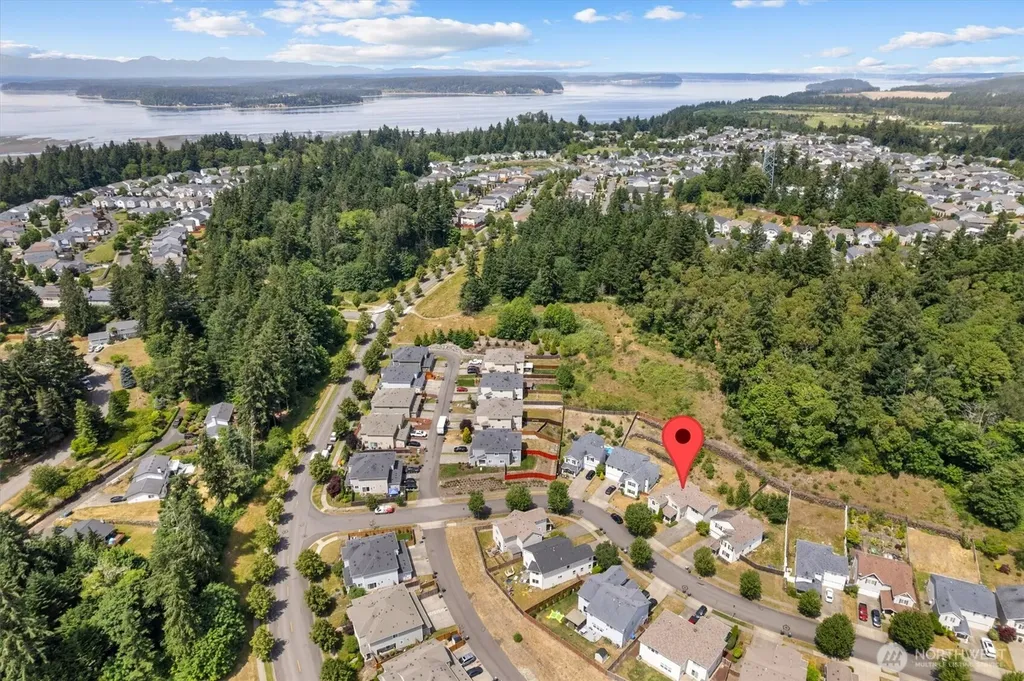 1190 Swan Loop Dupont WA 98327
