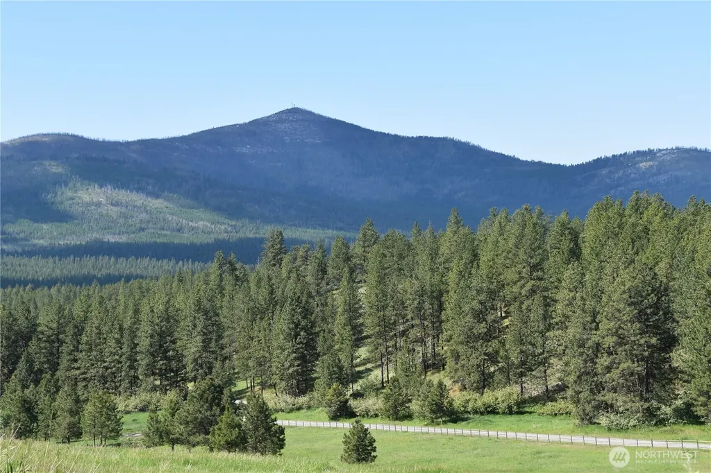1765 Tunk Creek Road Riverside WA 98849