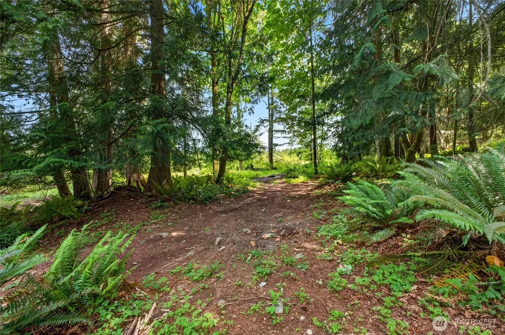 21005 197th Avenue E Orting WA 98360