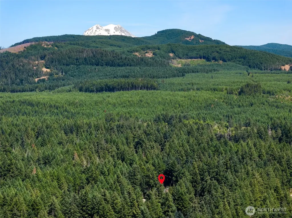 22518 Bluewater Drive SE Yelm WA 98597