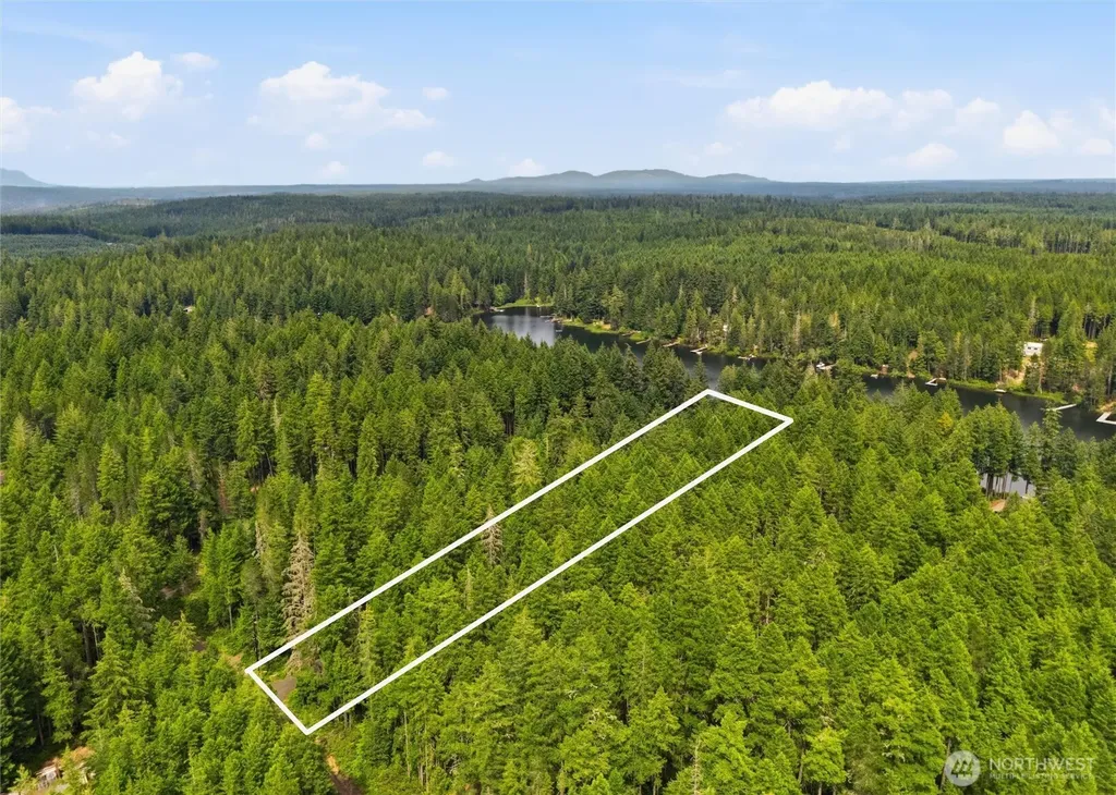 2321 NE Tee Lake Road Tahuya WA 98588