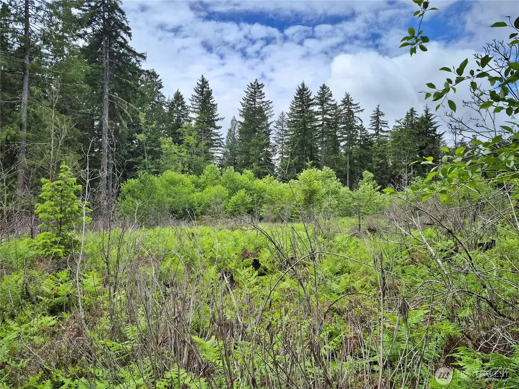 7 W Wilderness Lane Seabeck WA 98380