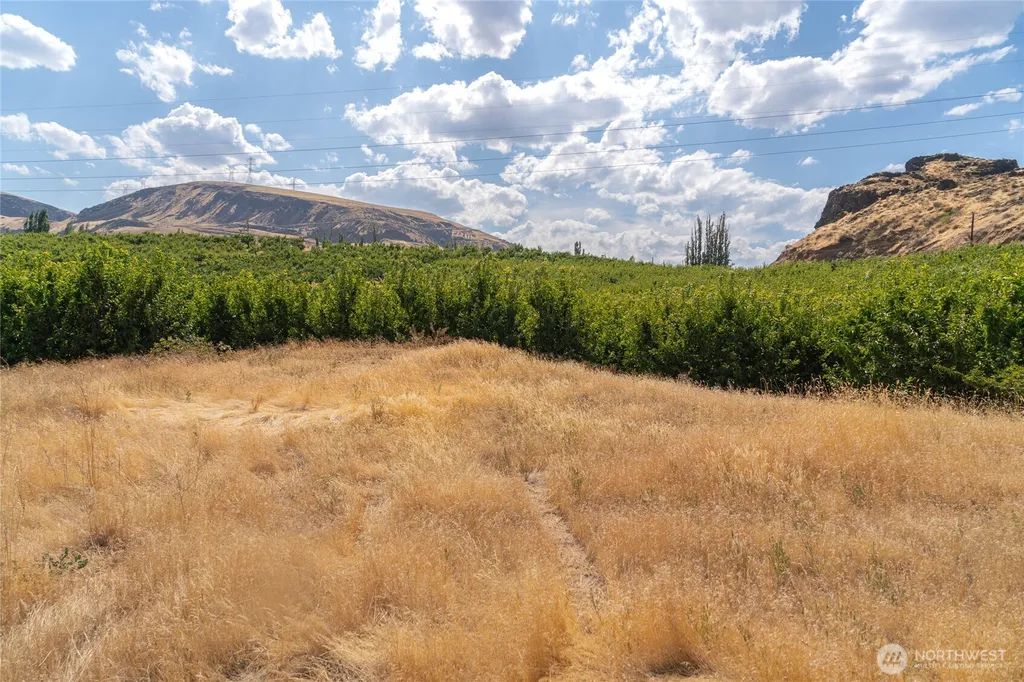 7199 Tarpiscan Road Malaga WA 98828