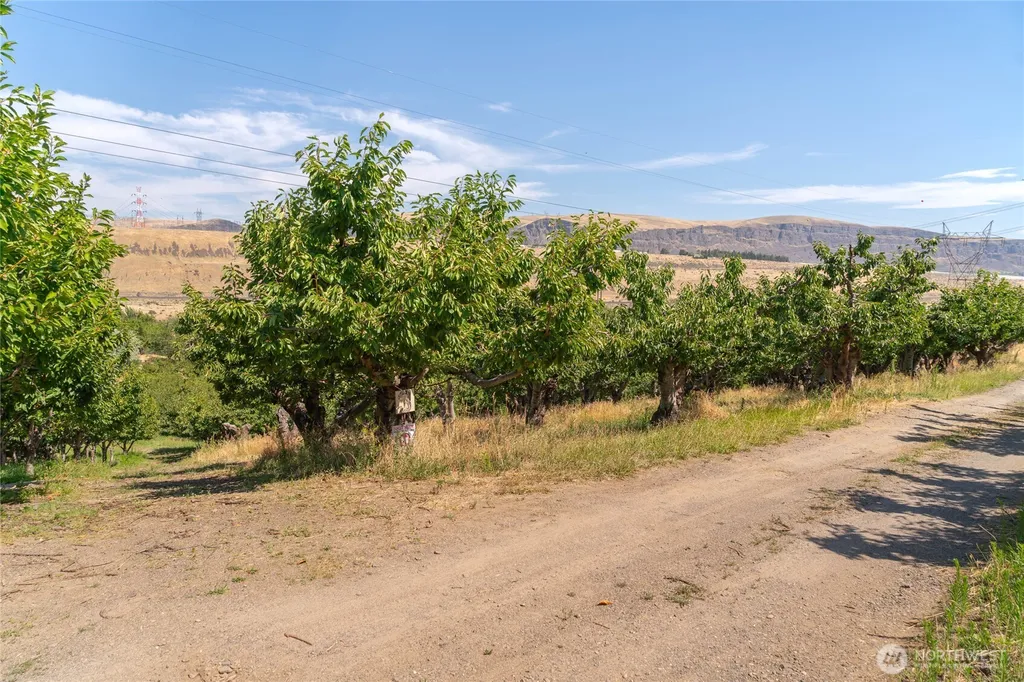 7199 Tarpiscan Road Malaga WA 98828