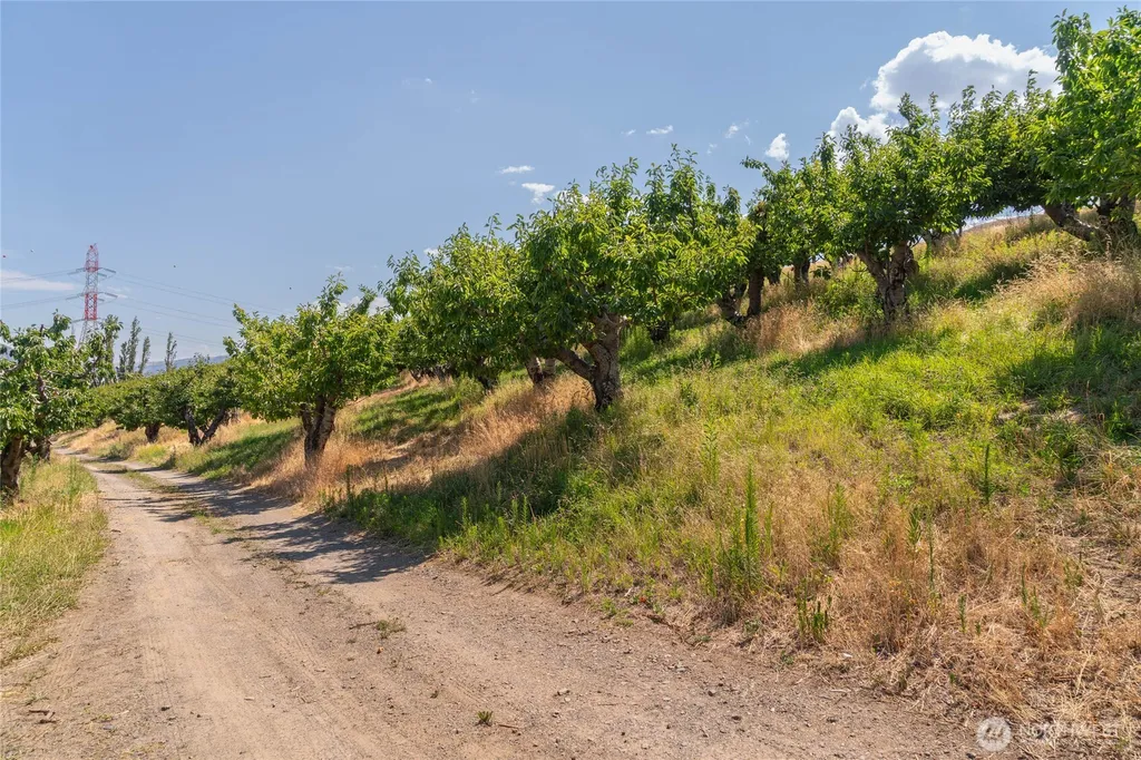 7199 Tarpiscan Road Malaga WA 98828
