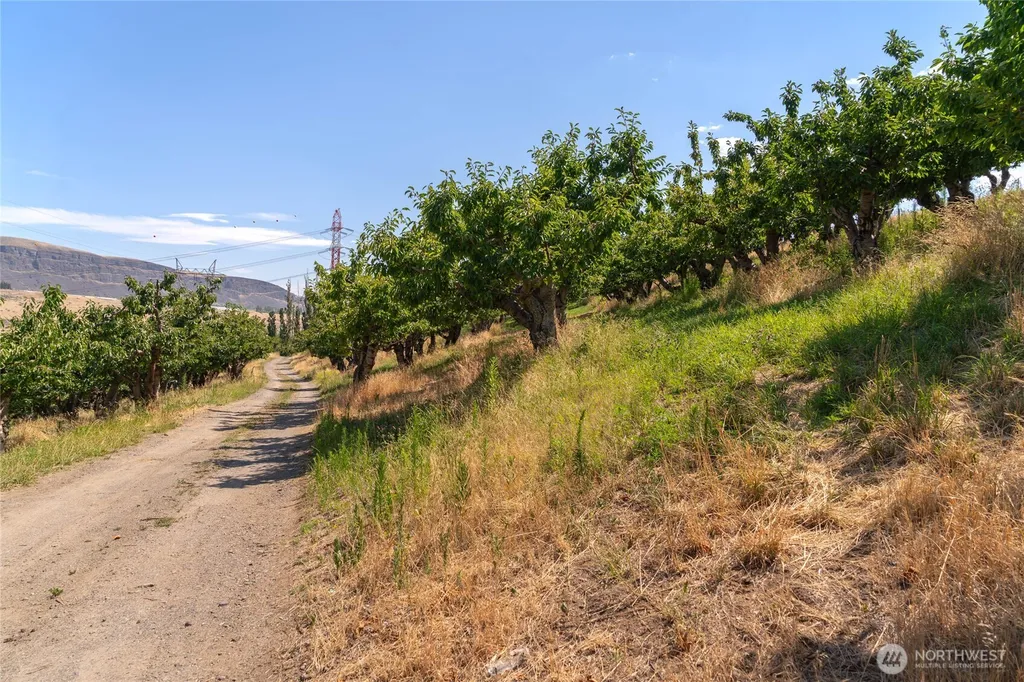 7199 Tarpiscan Road Malaga WA 98828