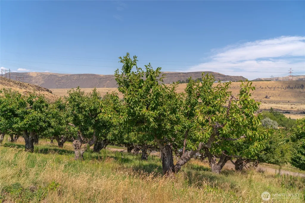 7199 Tarpiscan Road Malaga WA 98828