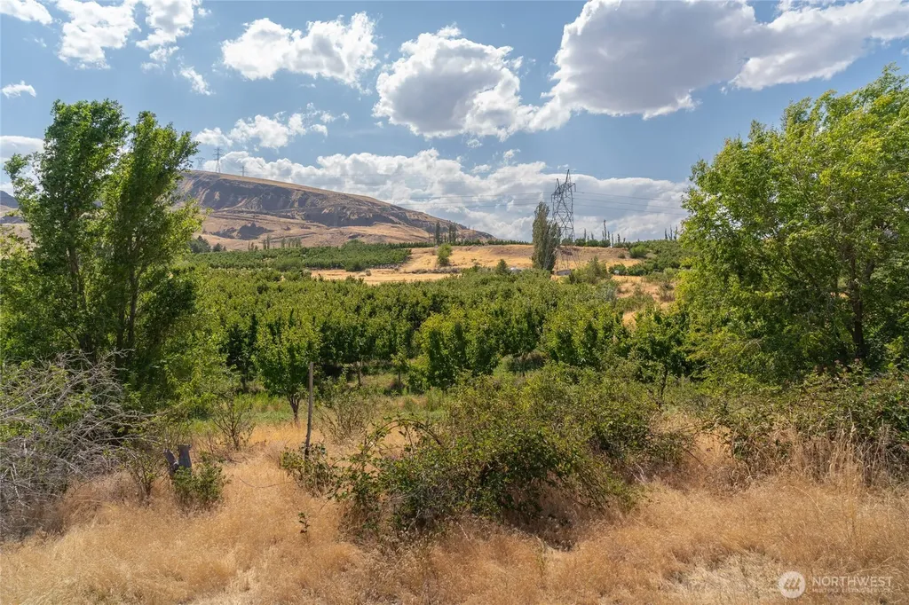 7199 Tarpiscan Road Malaga WA 98828