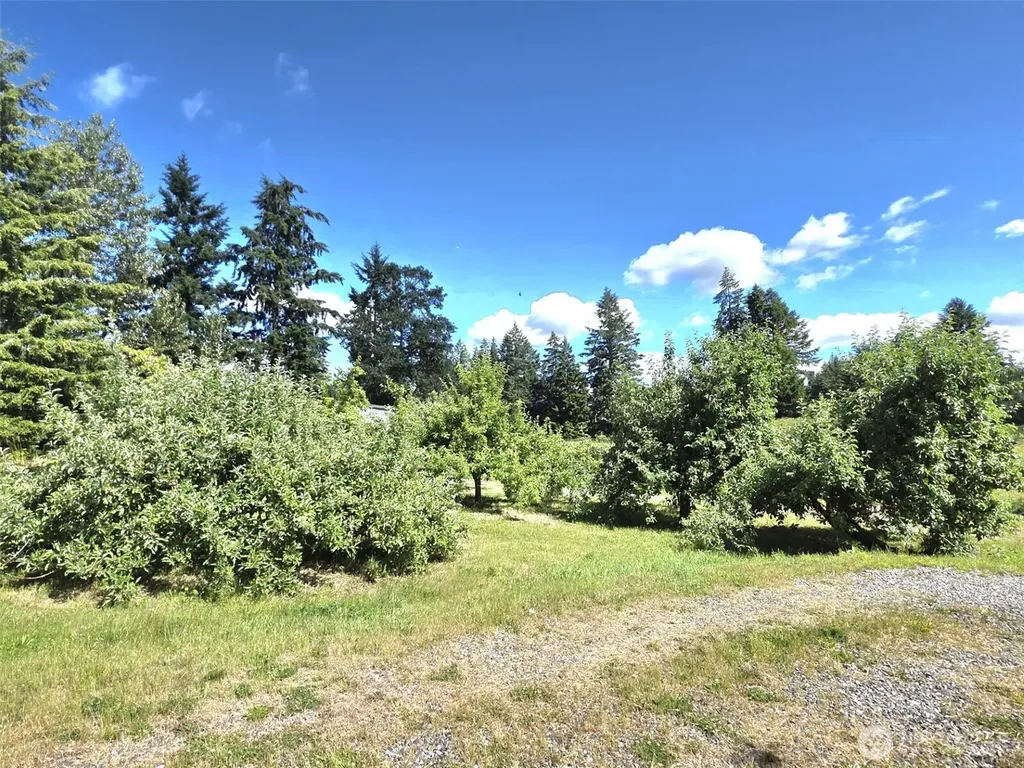11916 Fillman Road SE Rainier WA 98576