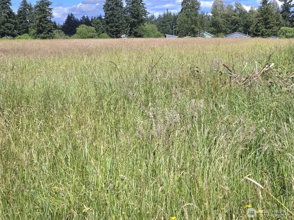 11916 Fillman Road SE Rainier WA 98576