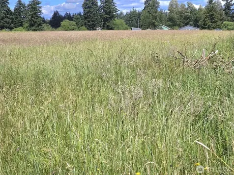 11916 Fillman Road SE Rainier WA 98576