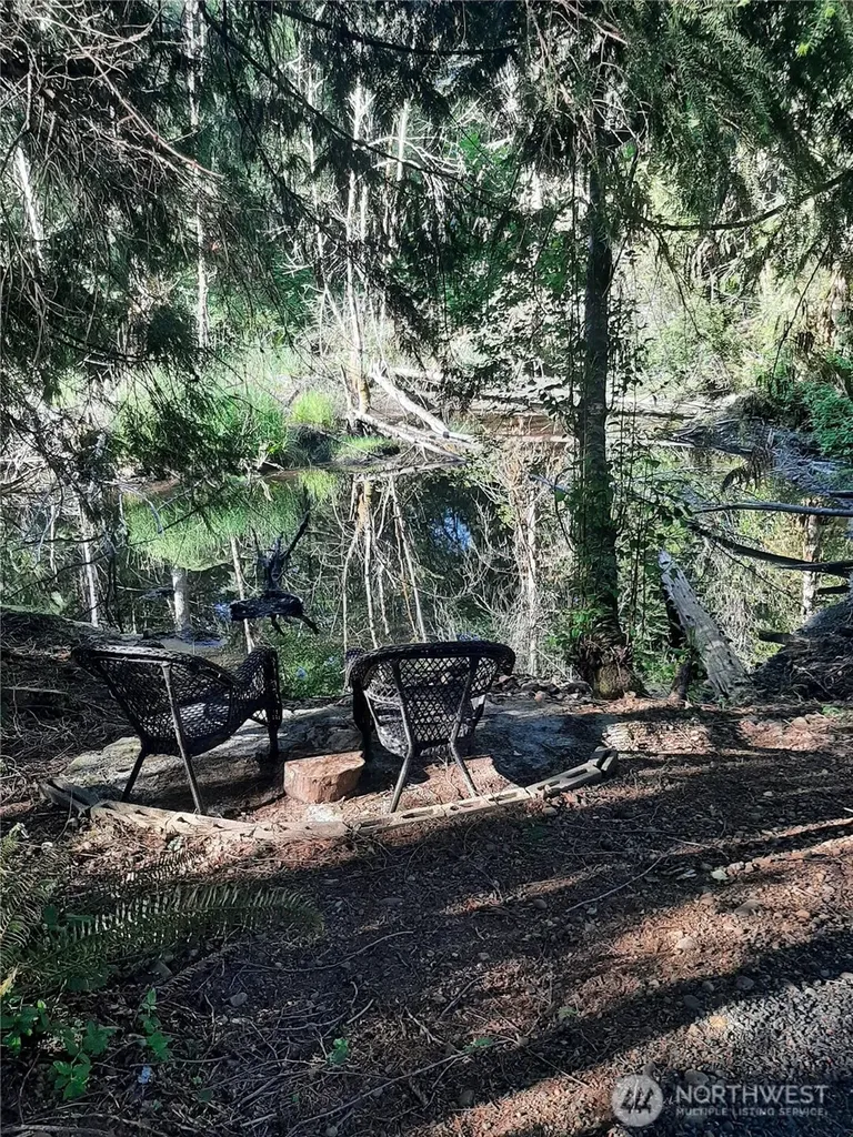 41 W Elma Hicklin Road Mccleary WA 98557
