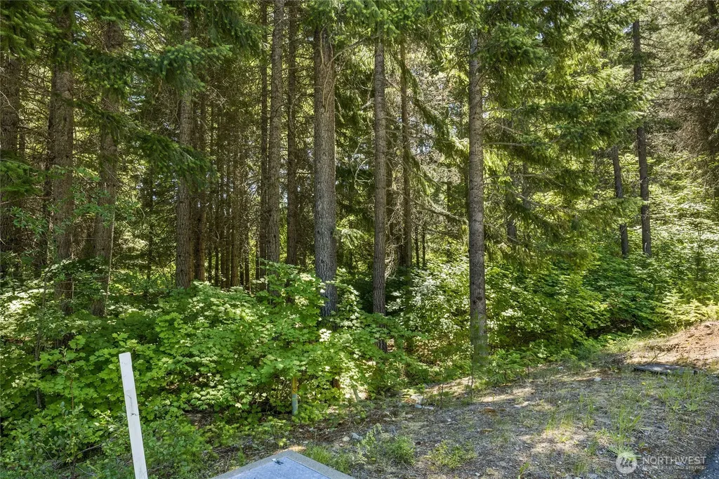 30 Scatter Creek Loop Cle Elum WA 98926