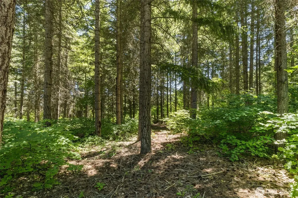 30 Scatter Creek Loop Cle Elum WA 98926