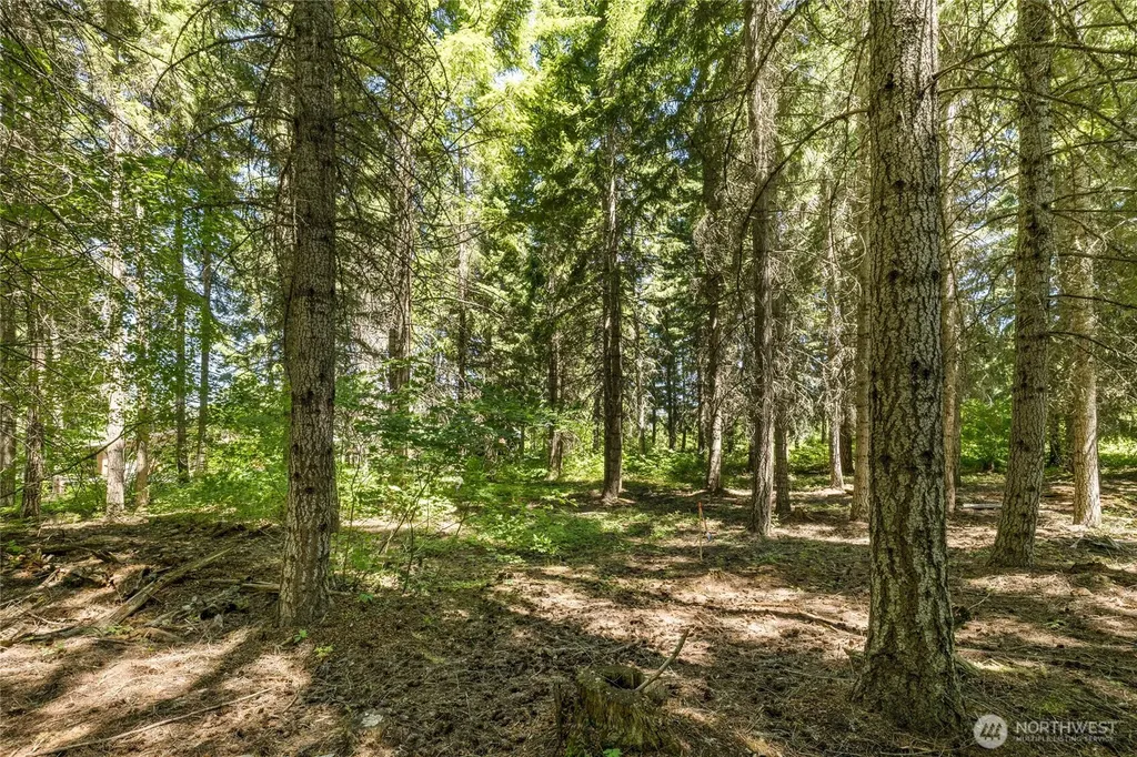 30 Scatter Creek Loop Cle Elum WA 98926