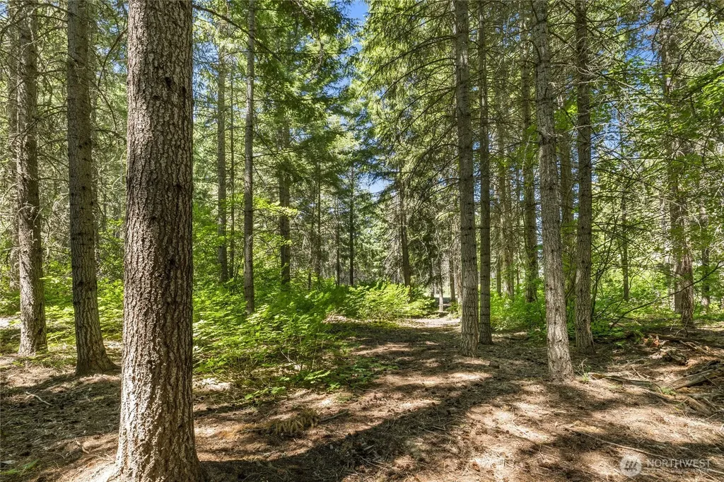 30 Scatter Creek Loop Cle Elum WA 98926