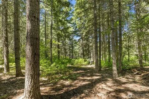 30 Scatter Creek Loop Cle Elum WA 98926