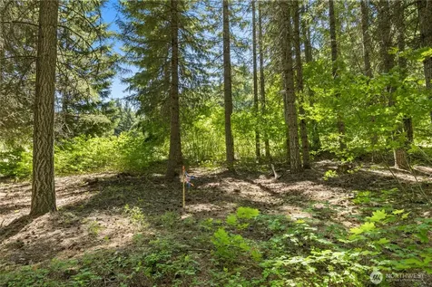 30 Scatter Creek Loop Cle Elum WA 98926