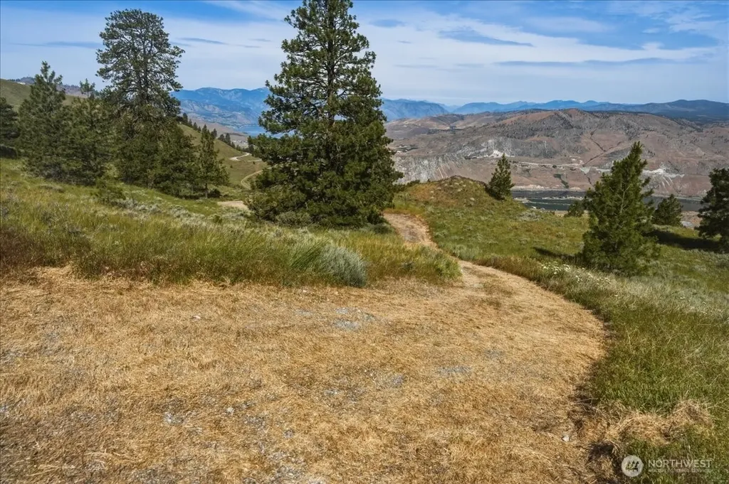 85 Eagles Nest Road Orondo WA 98843