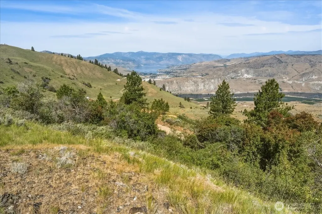85 Eagles Nest Road Orondo WA 98843