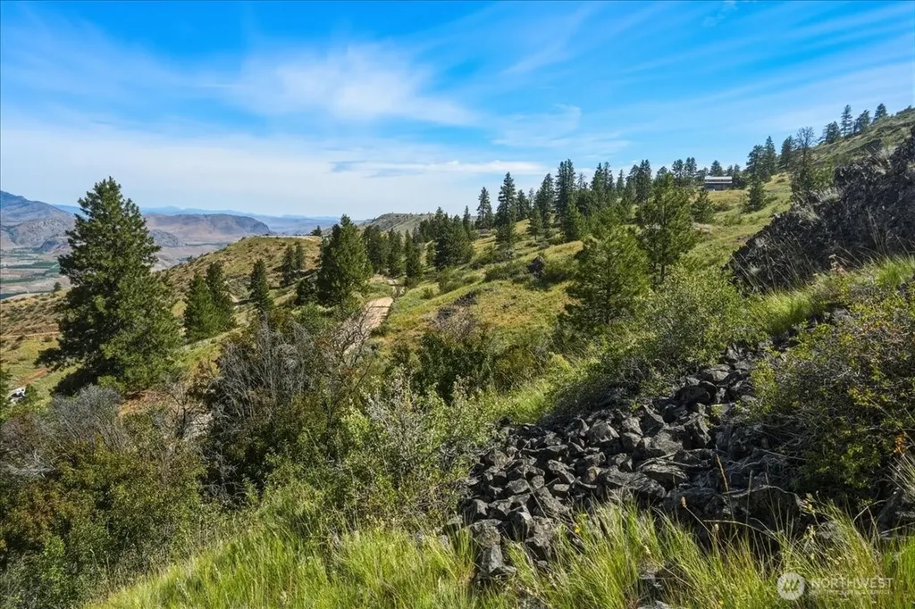 85 Eagles Nest Road Orondo WA 98843