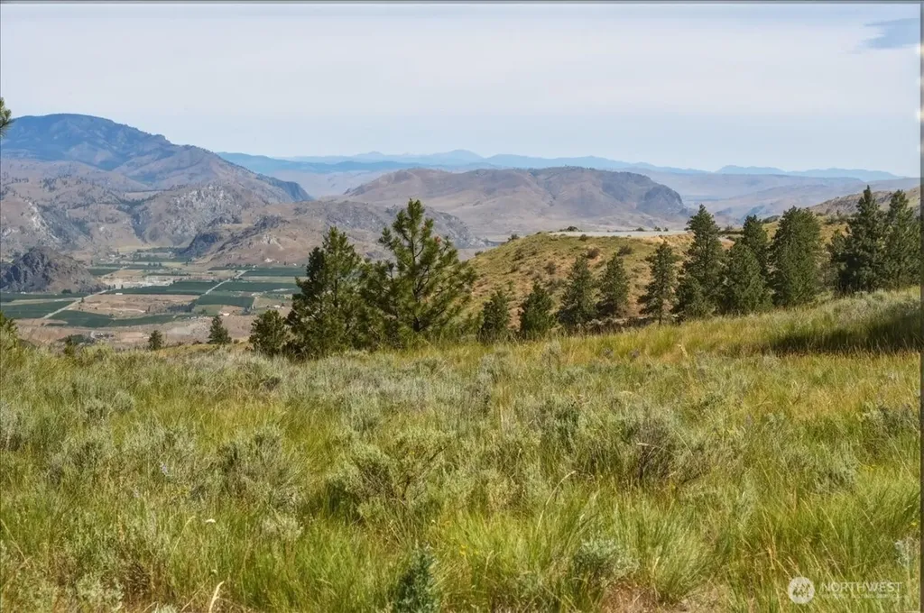85 Eagles Nest Road Orondo WA 98843