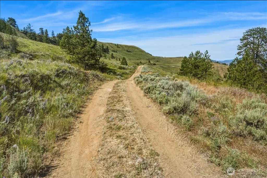 85 Eagles Nest Road Orondo WA 98843