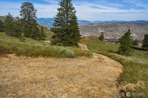 85 Eagles Nest Road Orondo WA 98843