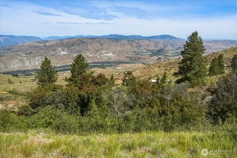 85 Eagles Nest Road Orondo WA 98843