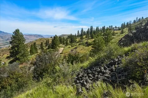 85 Eagles Nest Road Orondo WA 98843