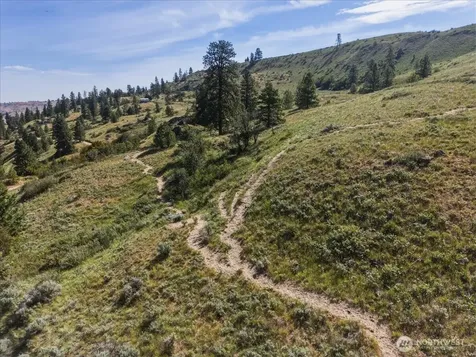 85 Eagles Nest Road Orondo WA 98843