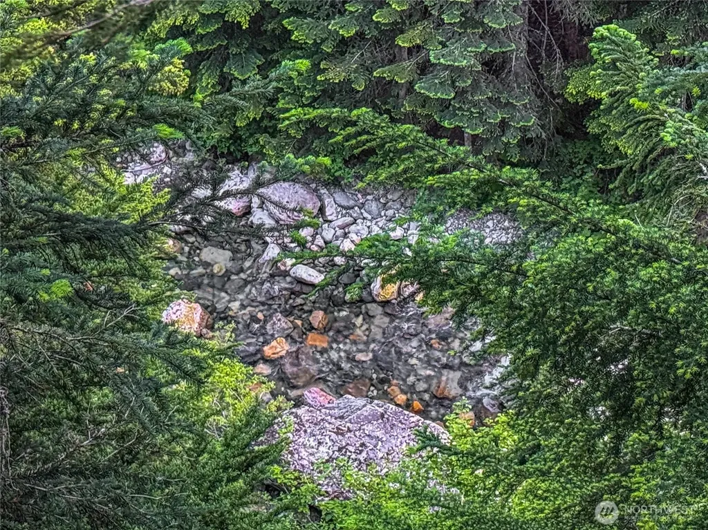 17800 Alpental Access Road SE North Bend WA 98045