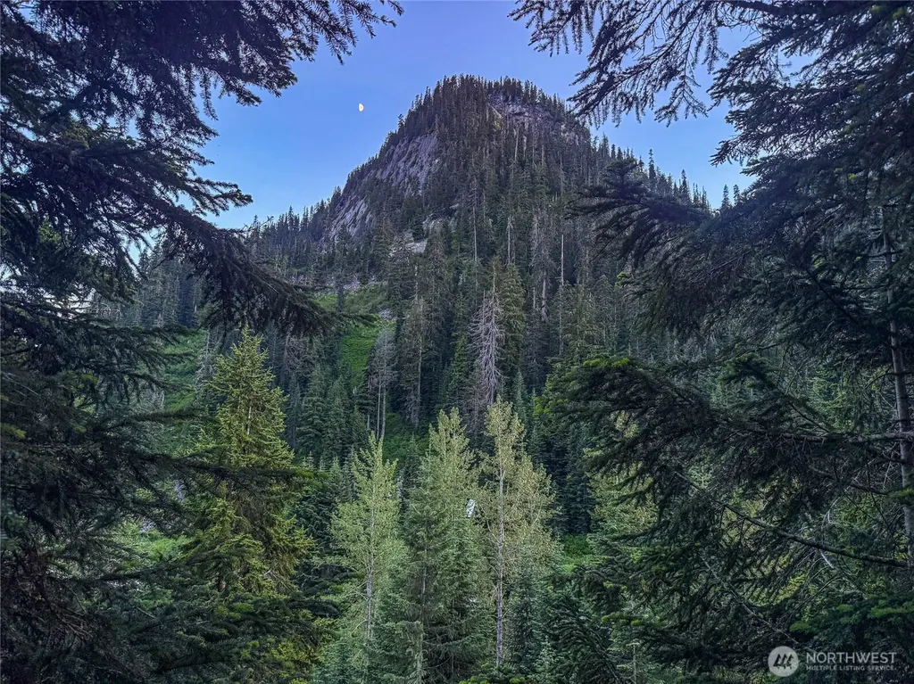 17800 Alpental Access Road SE North Bend WA 98045