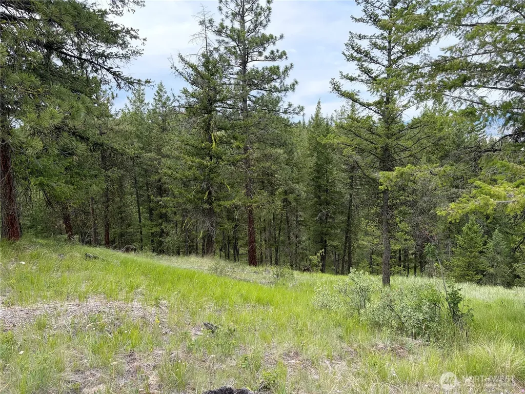 33 Outback Road Oroville WA 98844