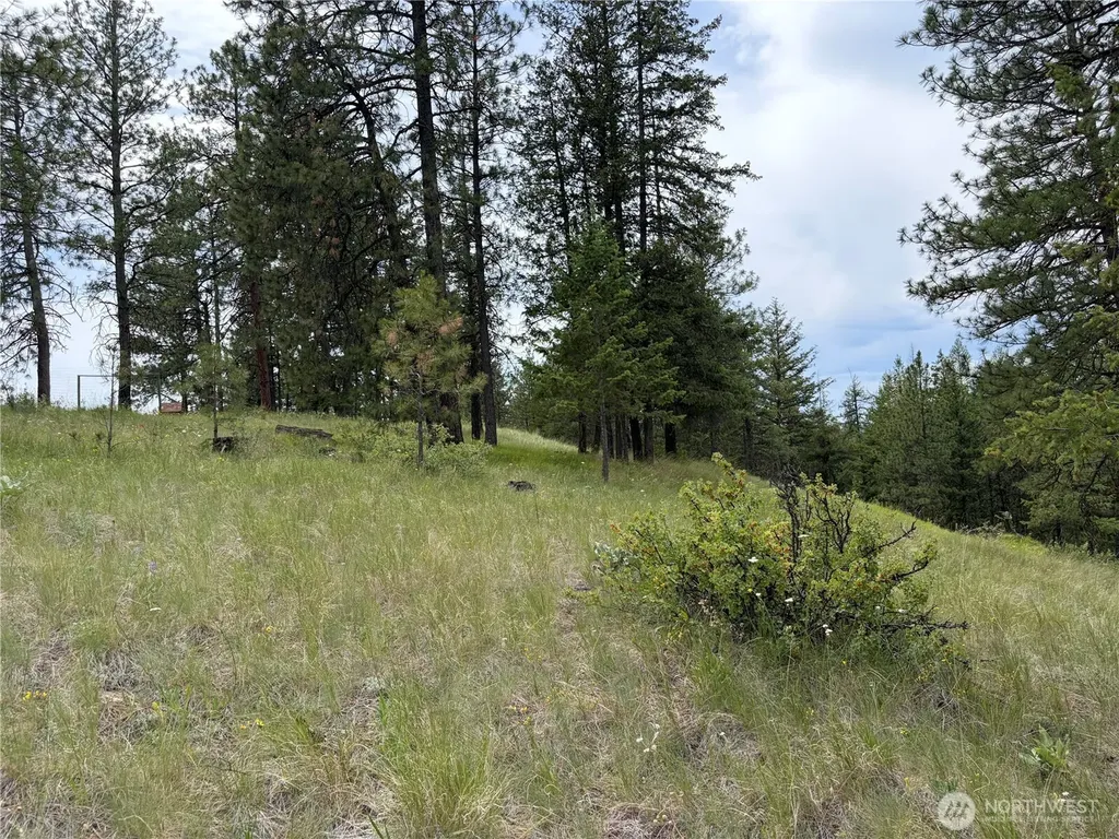 33 Outback Road Oroville WA 98844
