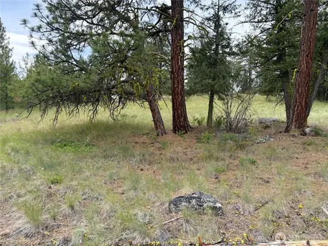 33 Outback Road Oroville WA 98844