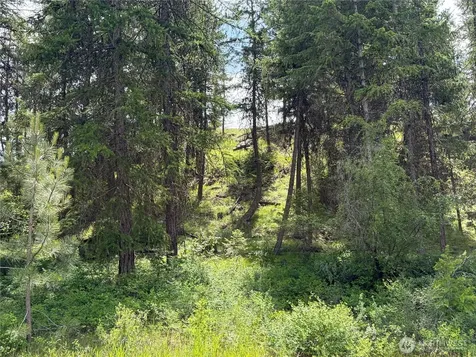 33 Outback Road Oroville WA 98844
