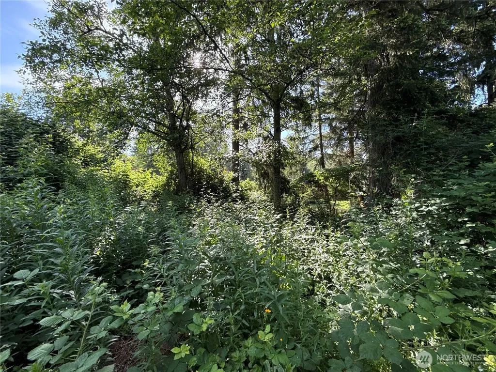 2229 97th Street SE Lake Stevens WA 98258