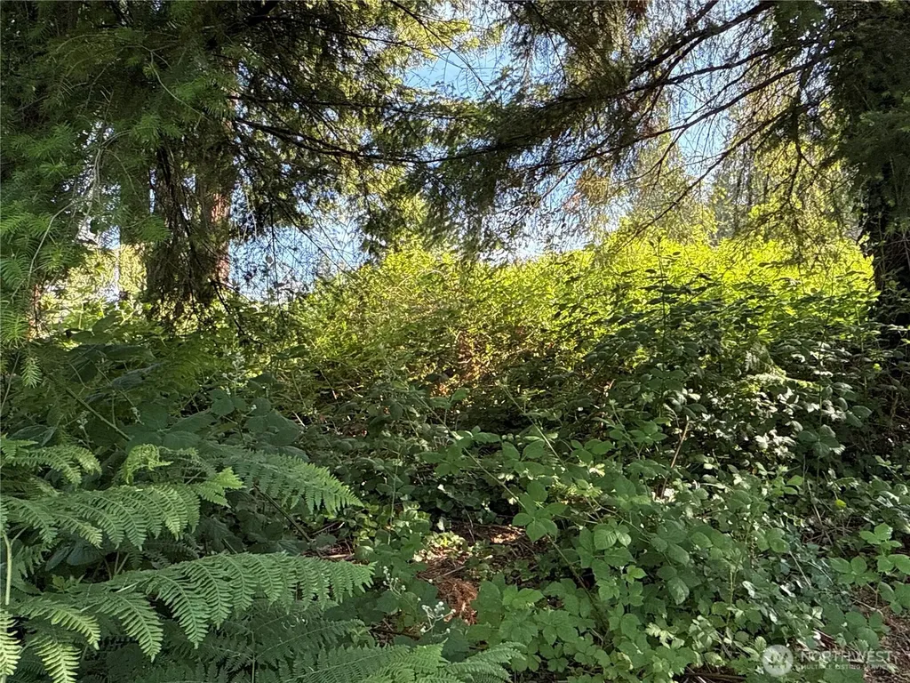 2229 97th Street SE Lake Stevens WA 98258