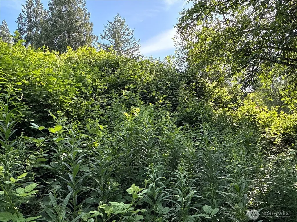 2229 97th Street SE Lake Stevens WA 98258