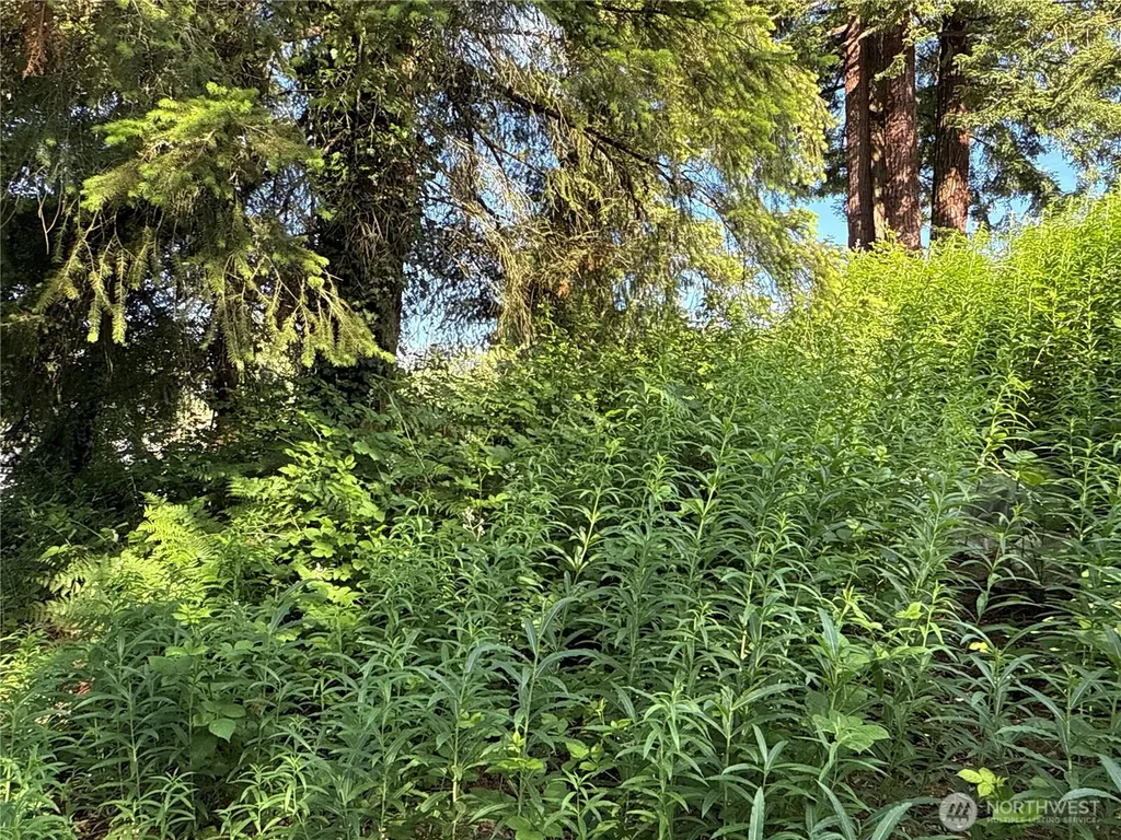2229 97th Street SE Lake Stevens WA 98258