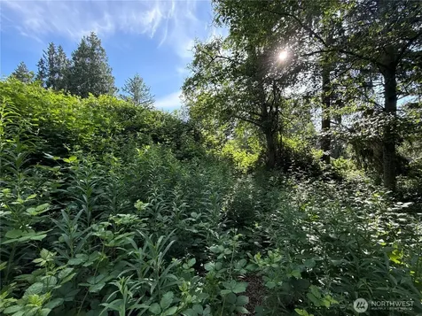 2229 97th Street SE Lake Stevens WA 98258