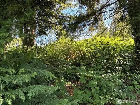2229 97th Street SE Lake Stevens WA 98258