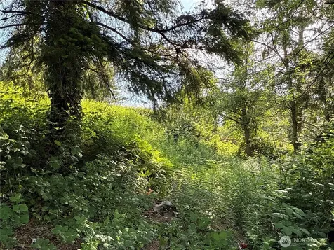 2229 97th Street SE Lake Stevens WA 98258