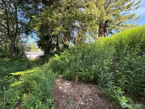 2229 97th Street SE Lake Stevens WA 98258