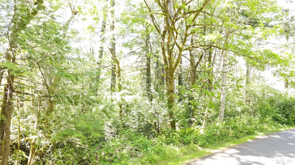 0 E Geist Point Rd Road Shelton WA 98584