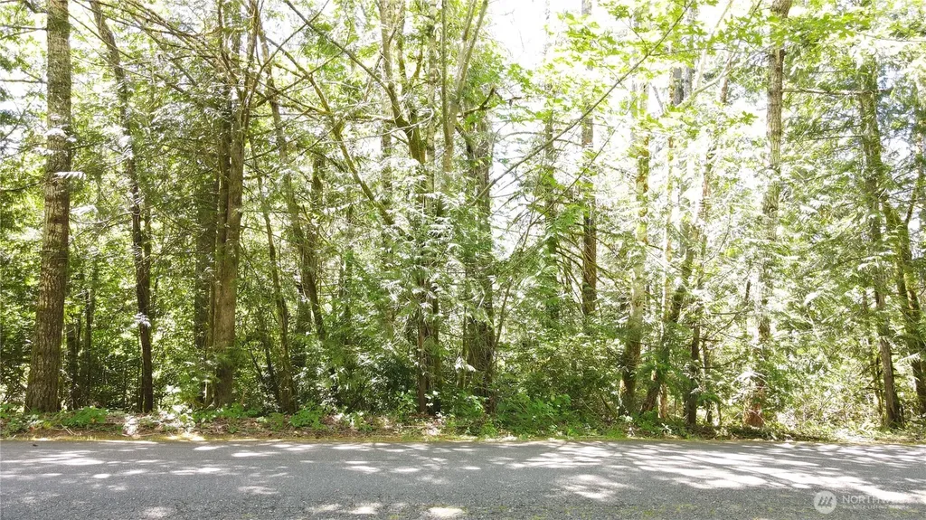 0 E Geist Point Rd Road Shelton WA 98584